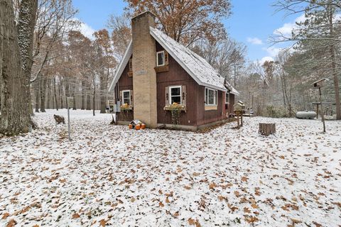 Photo of 3139 S White Oak Trail, Custer, MI 49405 (MLS # 25058374)