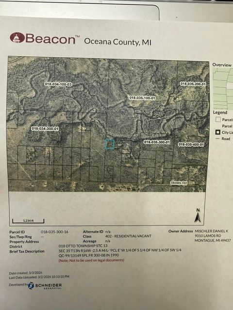 Photo of 0 Skeels Road, Holton, MI 49425 (MLS # 26008423)