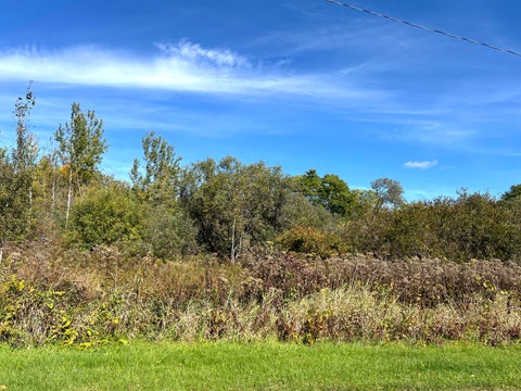 Photo of V/L Ray & Elm, New Era, MI 49446 (MLS # 26054305)