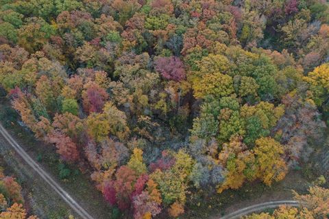 Photo of Meadowood Lane #Lot 2, Lakeside, MI 49116 (MLS # 25010433)