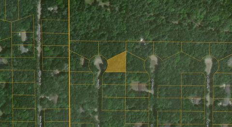 6824 Maple Court Canadian Lakes MI 49346