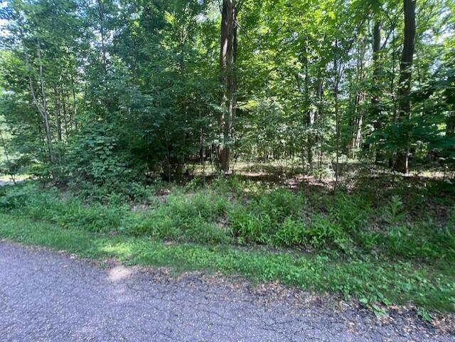 New Buffalo, Michigan 49117, United States, ,Land,Active,160143