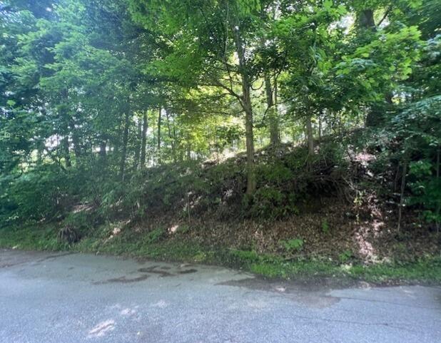 New Buffalo, Michigan 49117, United States, ,Land,Active,160143