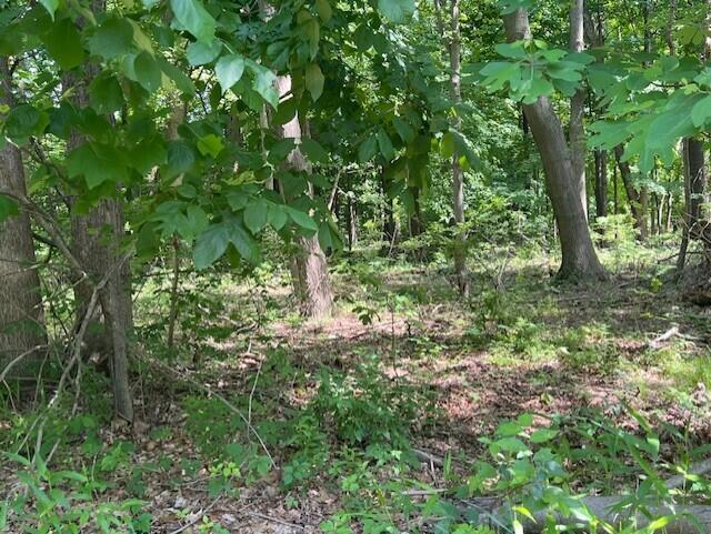 New Buffalo, Michigan 49117, United States, ,Land,Active,160143