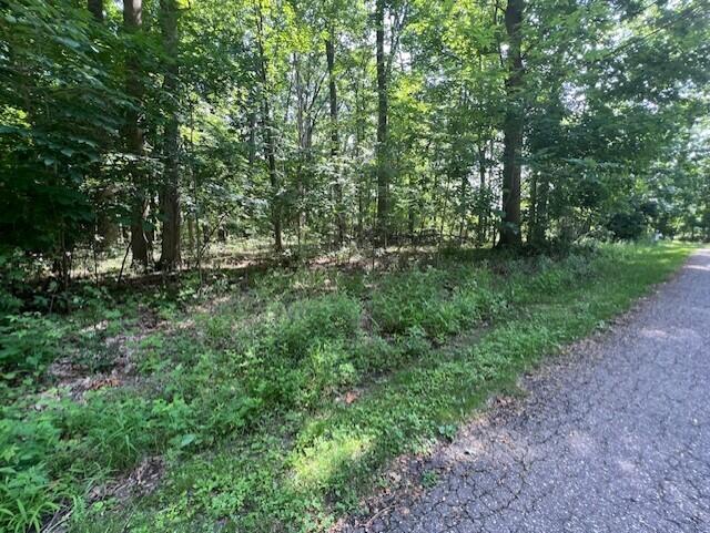 New Buffalo, Michigan 49117, United States, ,Land,Active,160143