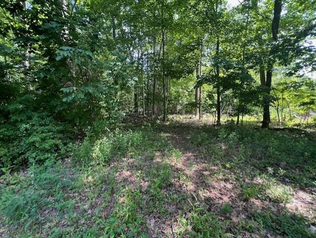 New Buffalo, Michigan 49117, United States, ,Land,Active,160143