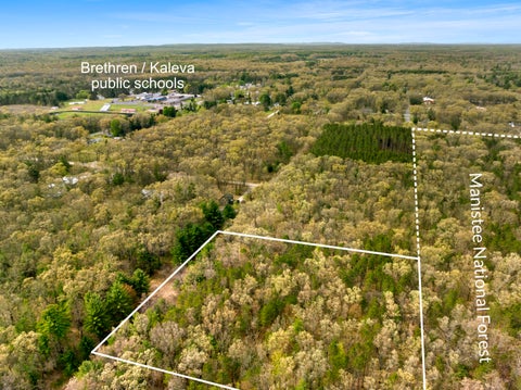 Photo of 0 Maple Avenue, Brethren, MI 49619 (MLS # 26016266)