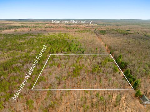 Photo of Maple Avenue, Brethren, MI 49619 (MLS # 26016266)