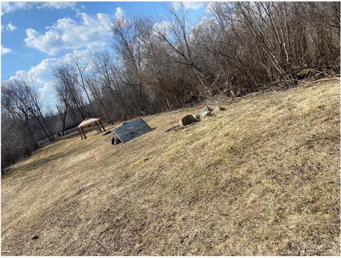 Photo for 8269 Huron River Drive