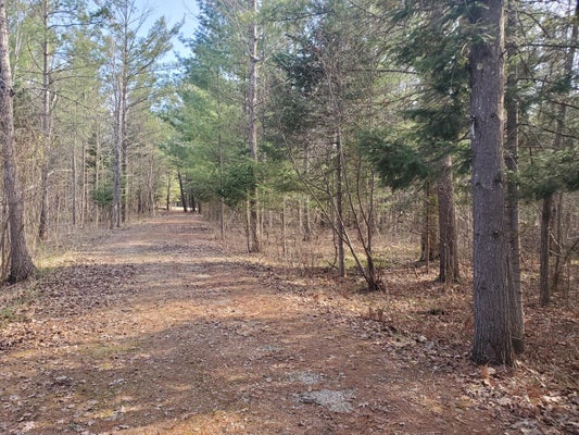 EAGLES NEST CT, ALGER, MI 48610 - Image 65a635cf8e52f2b1ec9c0f184e4078eb/3218913477