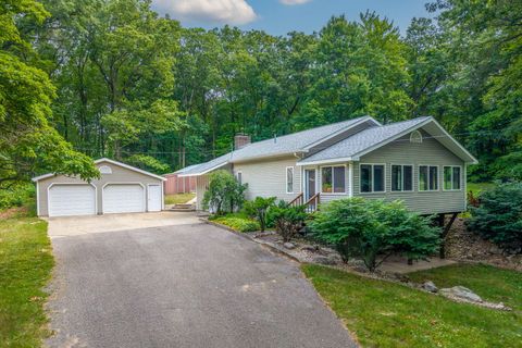 23974 Hooker Drive Sand Lake MI 49343