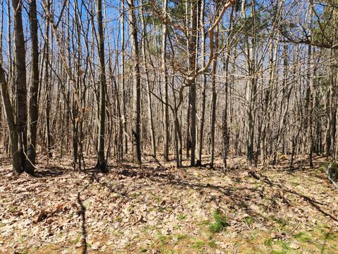 Photo of W Starlight Ridge Circle #62, Onekama, MI 49675 (MLS # 26005651)