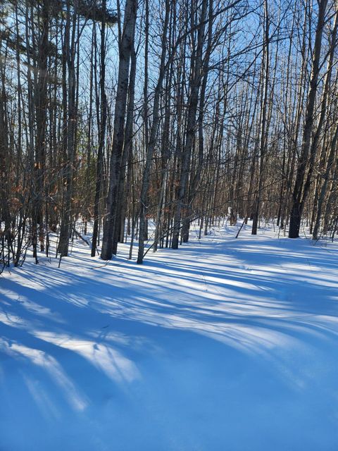 Photo of W Starlight Ridge Circle #62, Onekama, MI 49675 (MLS # 26005651)