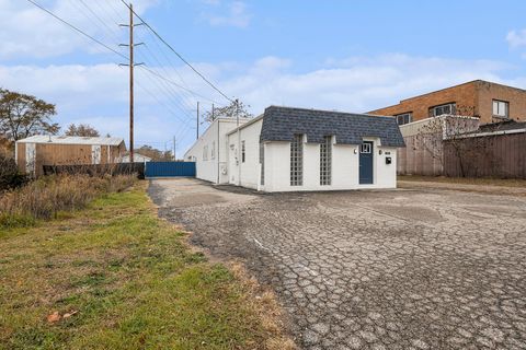 Photo of 405 N Franklin Street, Greenville, MI 48838 (MLS # 25057583)