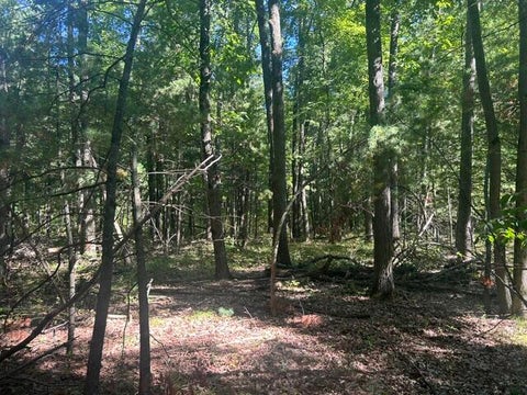 Photo for 9 Mile Road