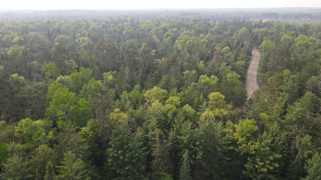 Photo of Parcel C Cherry Creek Trail, Grayling, MI 49738 (MLS # 26005033)