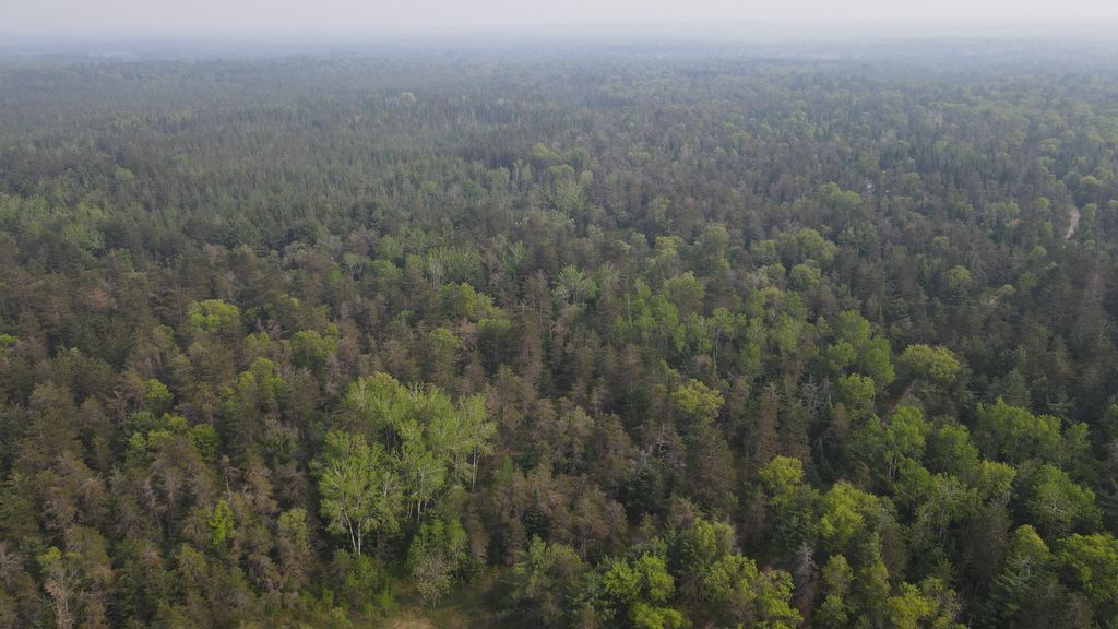 Photo of Parcel C Cherry Creek Trail, Grayling, MI 49738 (MLS # 26005033)