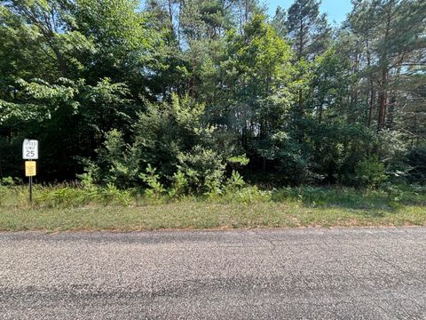 10951 Dobbyn Drive Canadian Lakes MI 49346