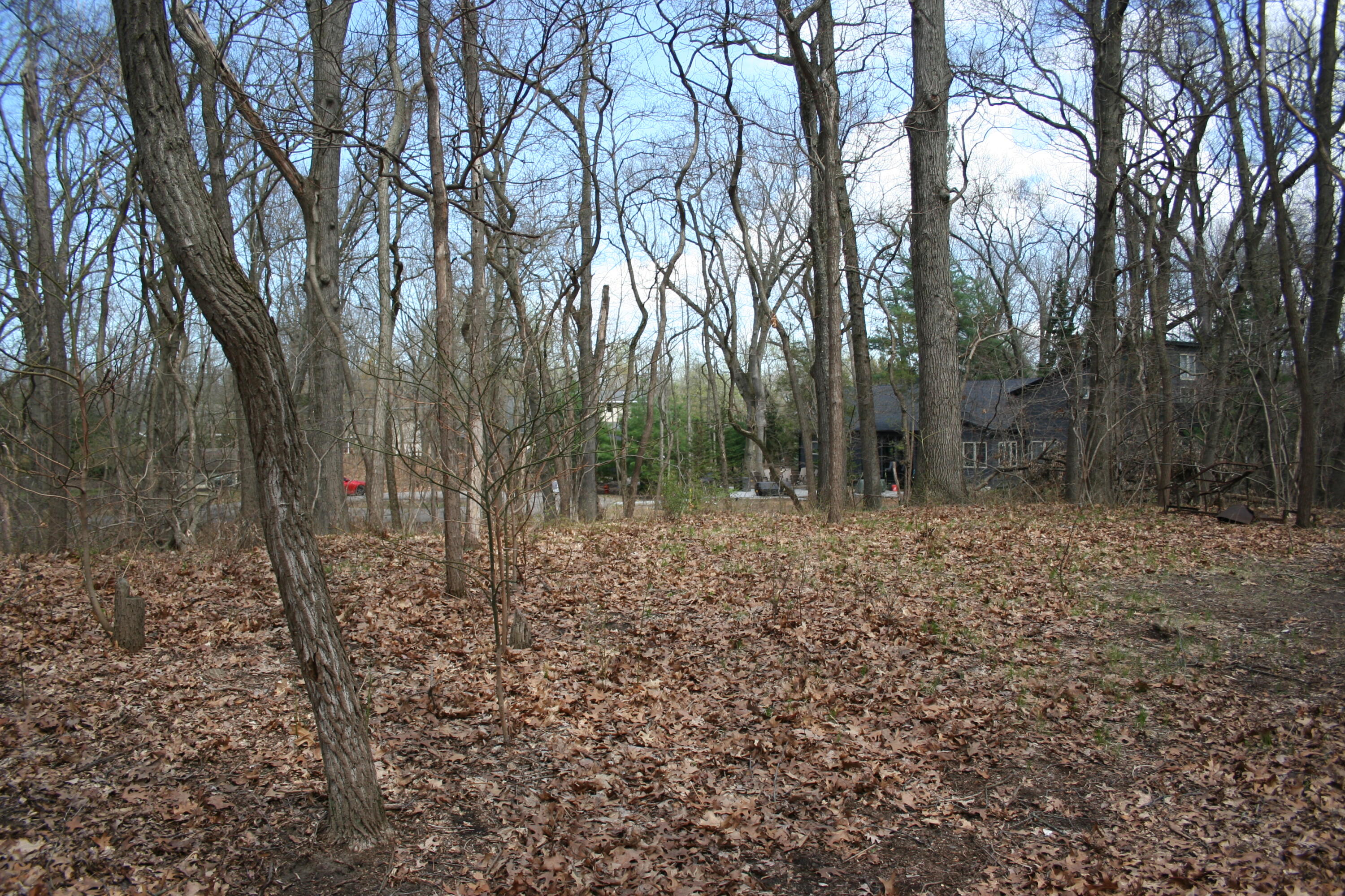 Listing 77