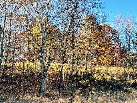 Photo of 9955 Wiitala Road, Copemish, MI 49625 (MLS # 26028897)
