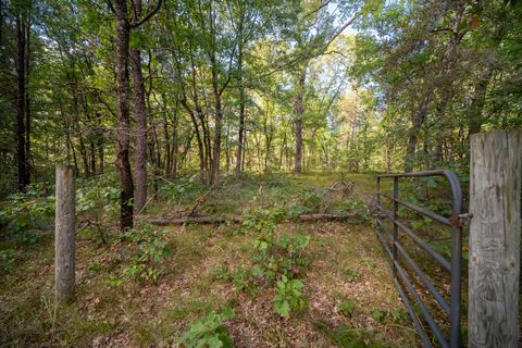 Photo of Rybicki Road, Free Soil, MI 49411 (MLS # 25050050)
