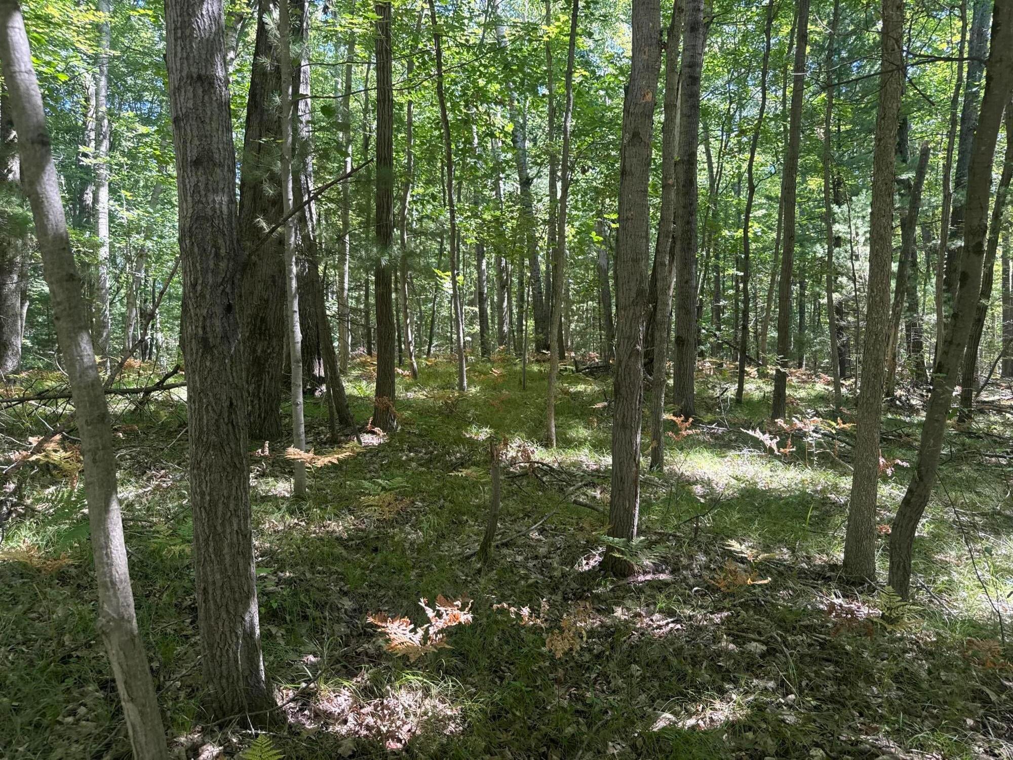 8278 Highland Trail