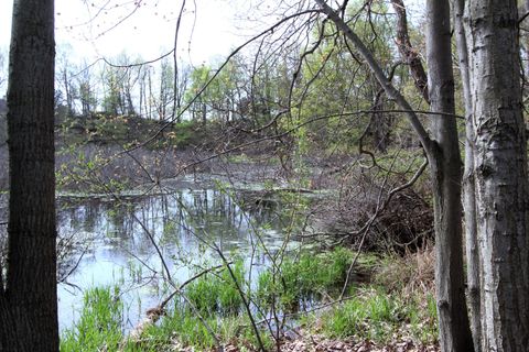 Photo of V/L Frost Road, Portland, MI 48875 (MLS # 26018819)