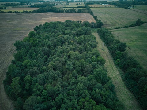 Photo for Herl Road