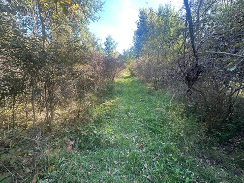 Photo for VL 20 Mile Road