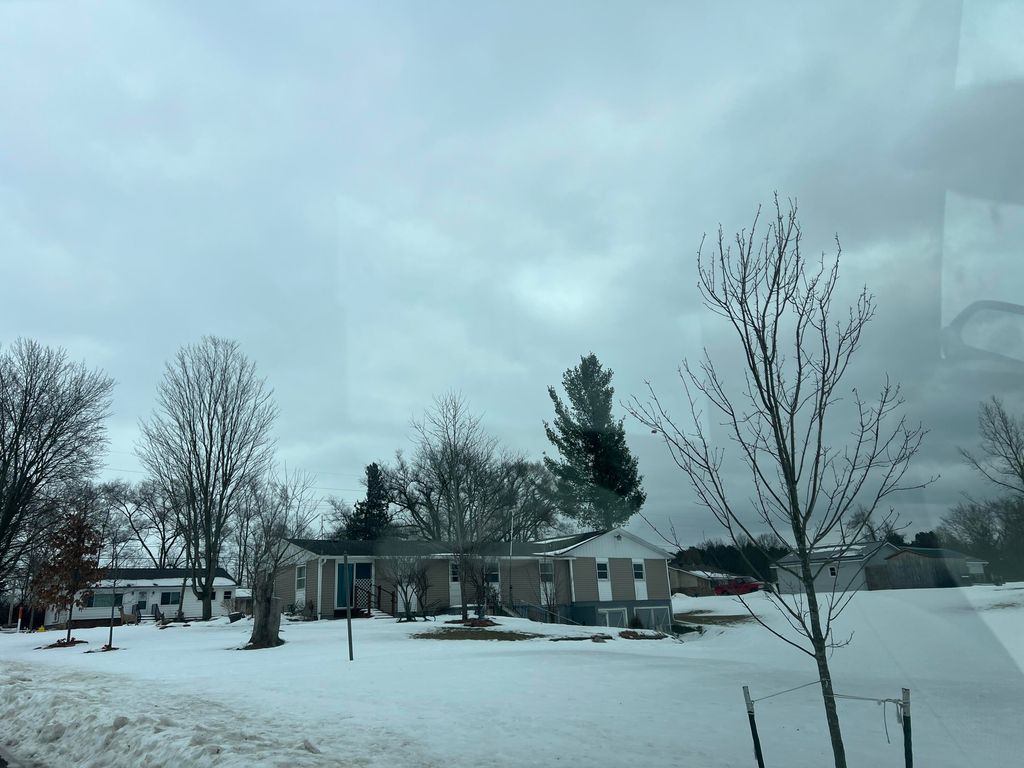 Photo of 725 N Edgewood Street, Greenville, MI 48838 (MLS # 26004976)