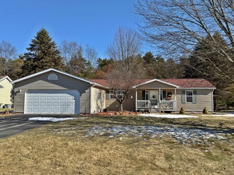 7900 Sunset Shores Drive Canadian Lakes MI 49346