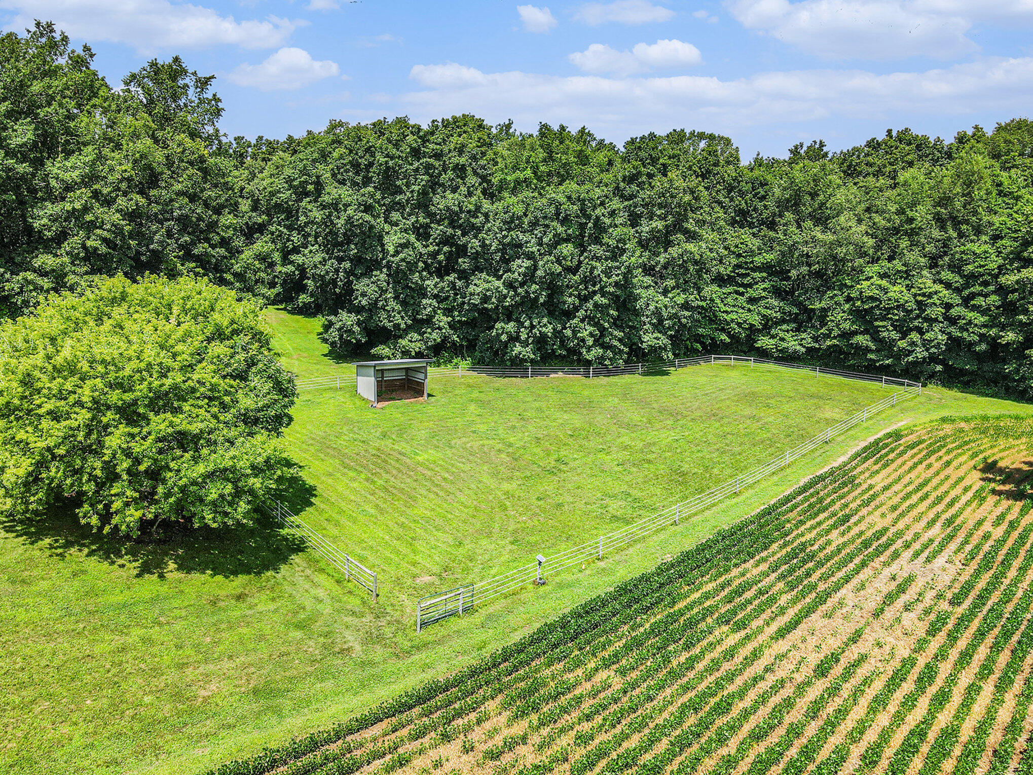 Plainwell, Michigan 49080, United States, 4 Bedrooms Bedrooms, ,3 BathroomsBathrooms,Residential,Pending,183508