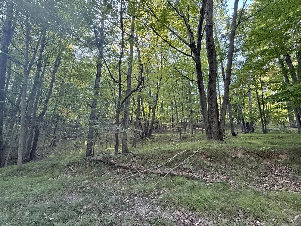 10389 Medicine Bow Trail