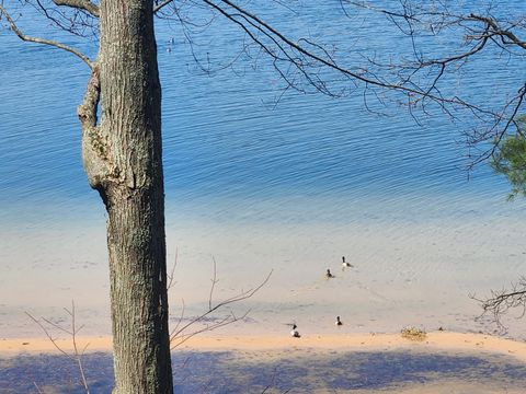 Photo of 10962 S Minising Court, Baldwin, MI 49304 (MLS # 26017030)