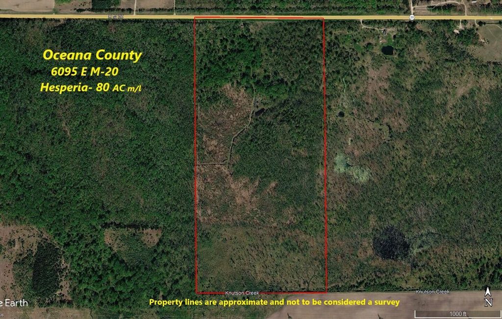 Photo of 6095 E M 20, Hesperia, MI 49421 (MLS # 26005678)