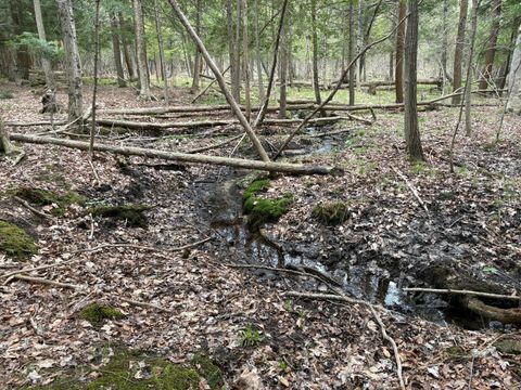 Photo of 2.27 Acres W Shelby Road, Shelby, MI 49455 (MLS # 26018643)