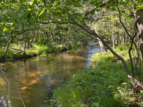 Photo of 2.27 Acres W Shelby Road, Shelby, MI 49455 (MLS # 26018643)
