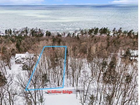 Photo of Lot 11 Silver Ridge Road, Mears, MI 49436 (MLS # 26010865)