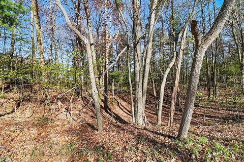 Photo of Lot 11 Silver Ridge Road, Mears, MI 49436 (MLS # 26010865)
