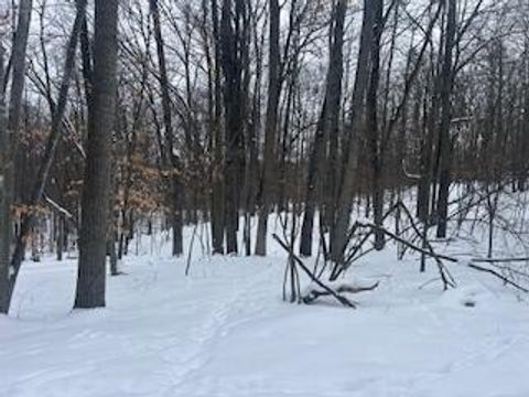 9980 Red Deer Court Canadian Lakes MI 49346