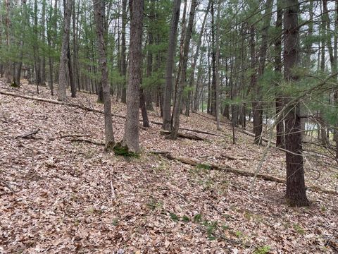 Photo of Parcel A Coates Hwy, Brethren, MI 49619 (MLS # 26019404)
