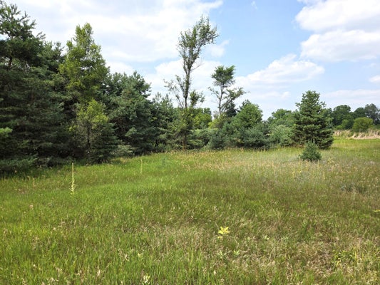 W STANTON RD, TRUFANT, MI 49347 - Image 6b2fdd24ac70b83061b4da649e6f7246/701262465