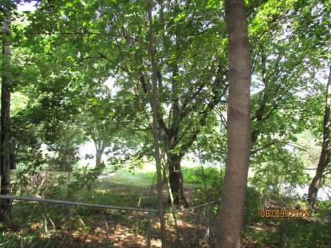 Photo of Pine Trail, Three Rivers, MI 49093 (MLS # 25040903)