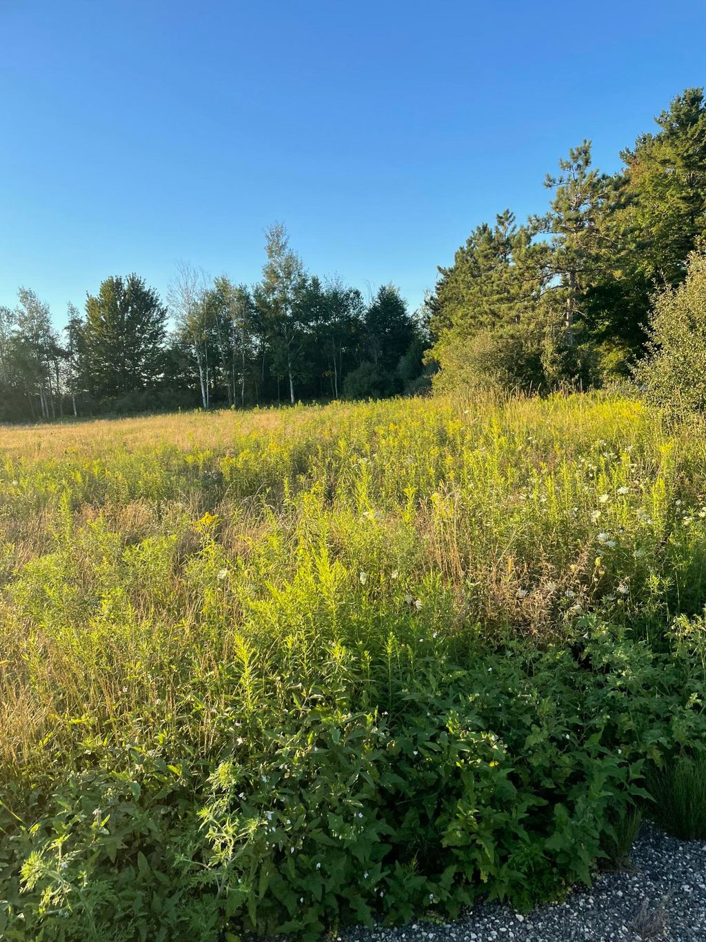 Photo of 6441 S Sullivan Road, Nunica, MI 49448 (MLS # 26005039)