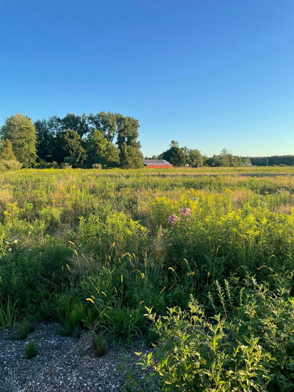 Photo of 6441 S Sullivan Road, Nunica, MI 49448 (MLS # 26005039)