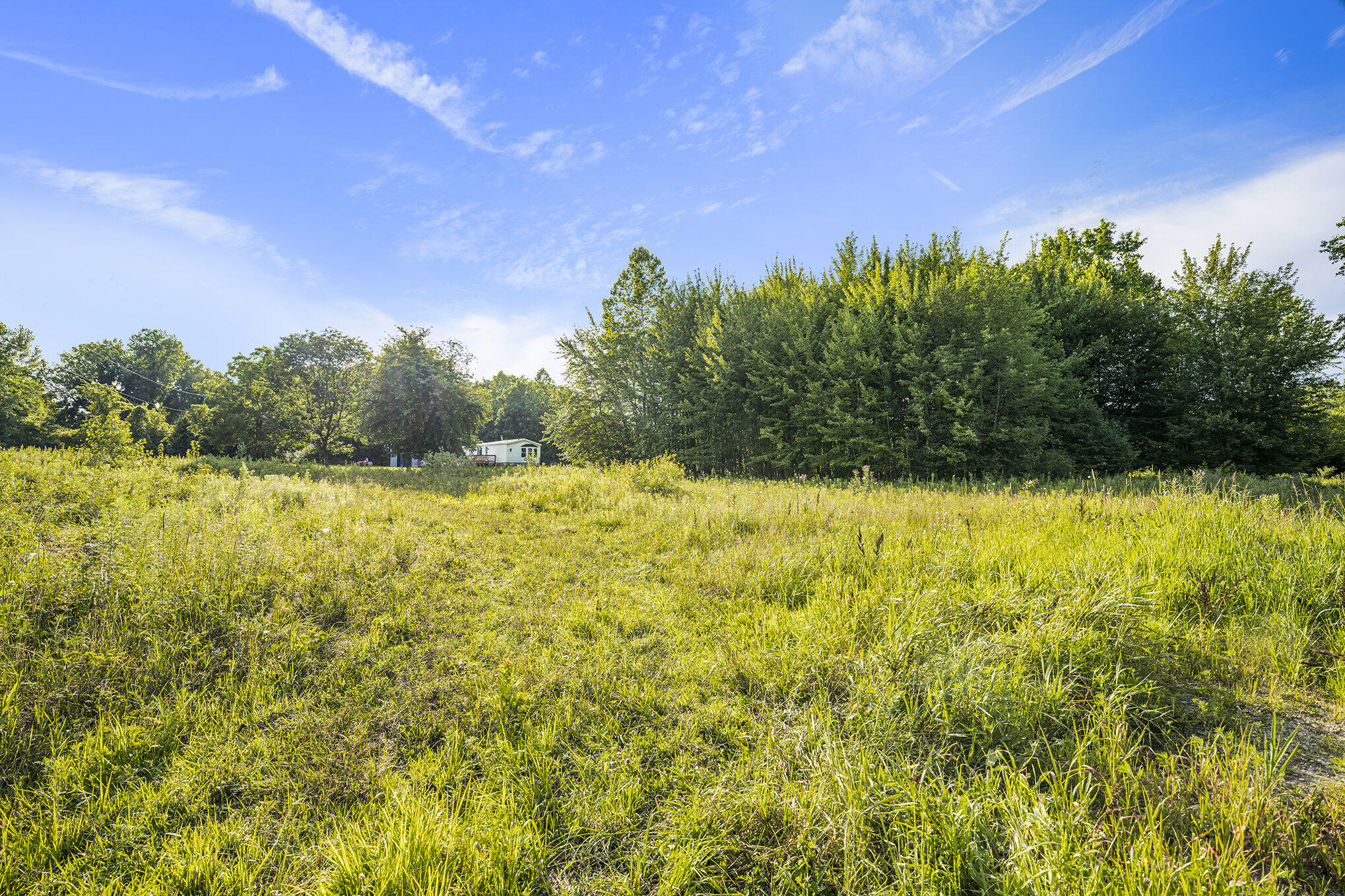 View Paw Paw, MI 49079 land