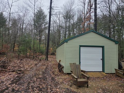 Photo of 4802 E 96th Street, Newaygo, MI 49337 (MLS # 26009582)