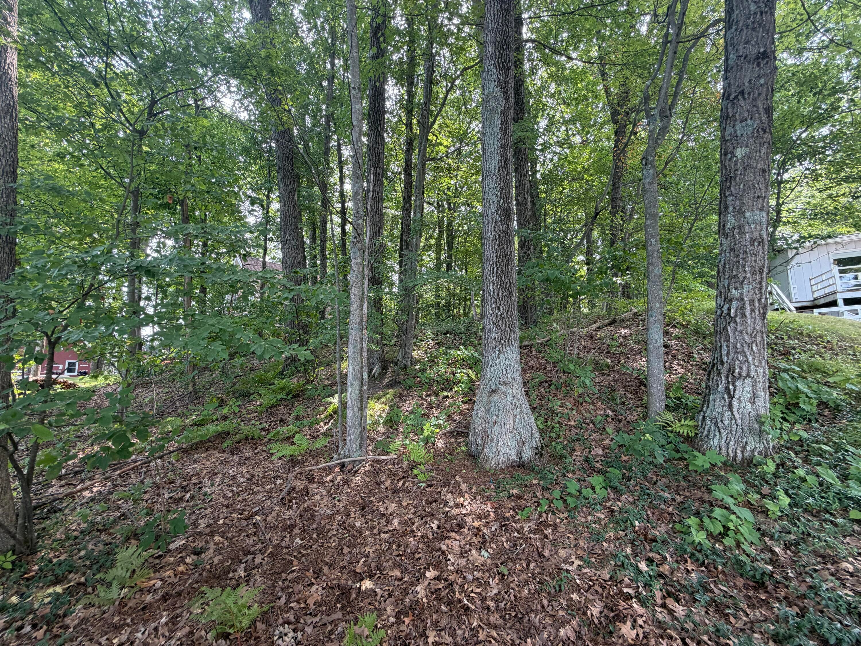 Listing 31