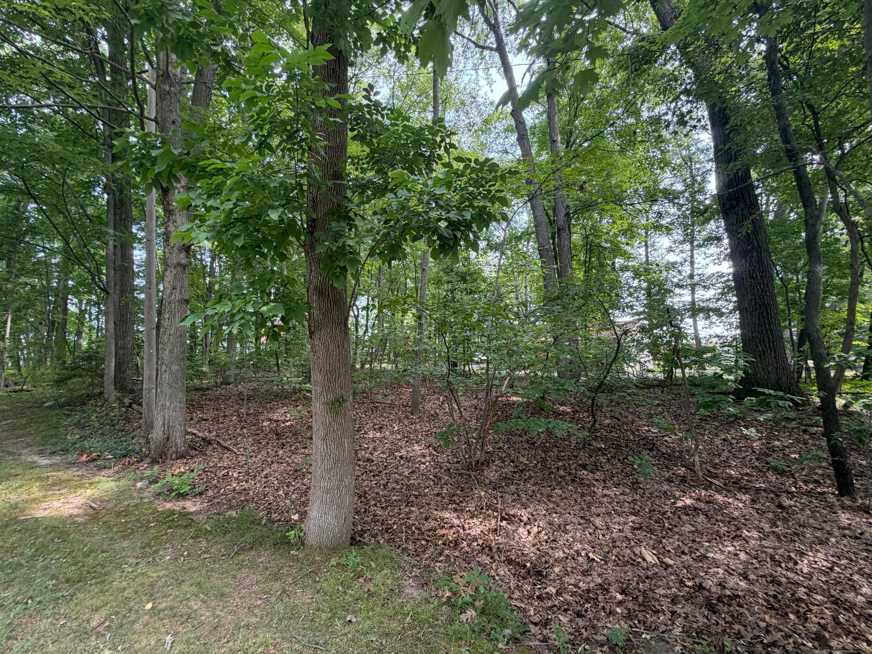 Listing 31