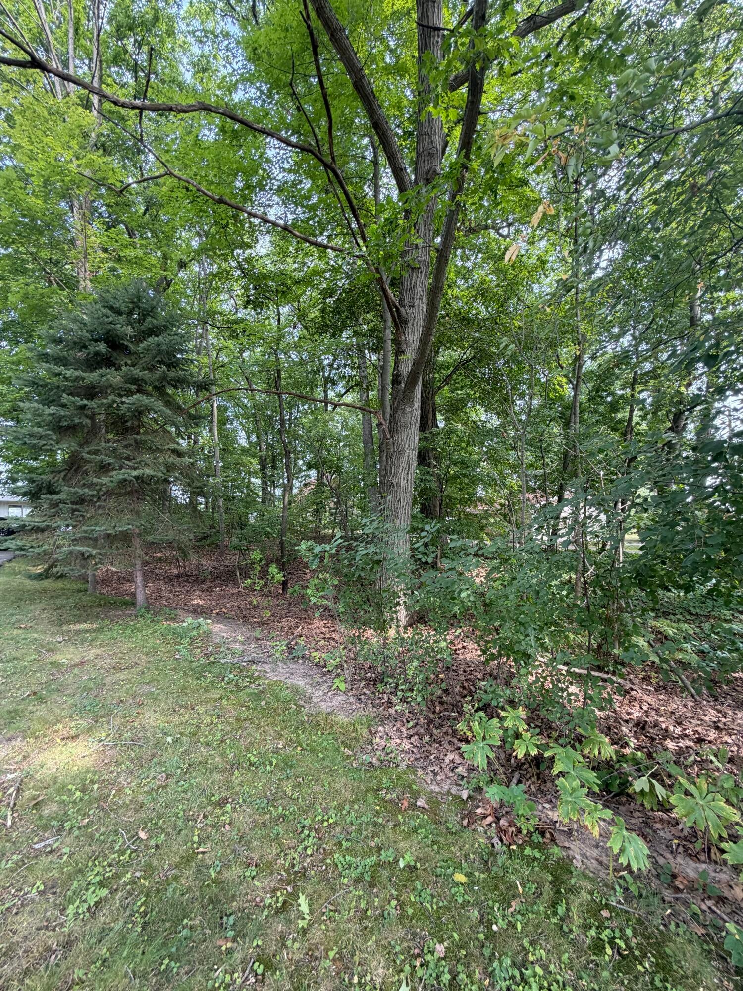 Listing 31